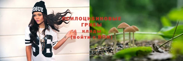 первитин Усинск