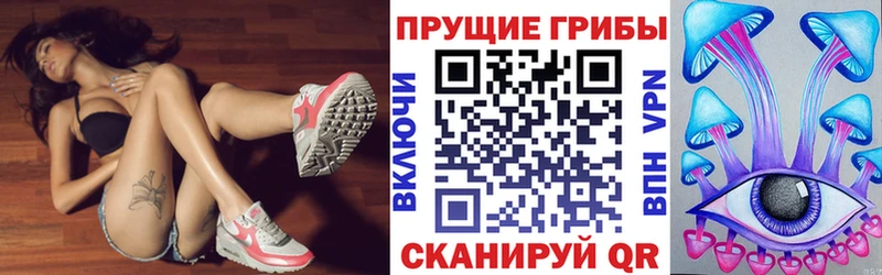 Псилоцибиновые грибы Magic Shrooms  наркотики  Махачкала 