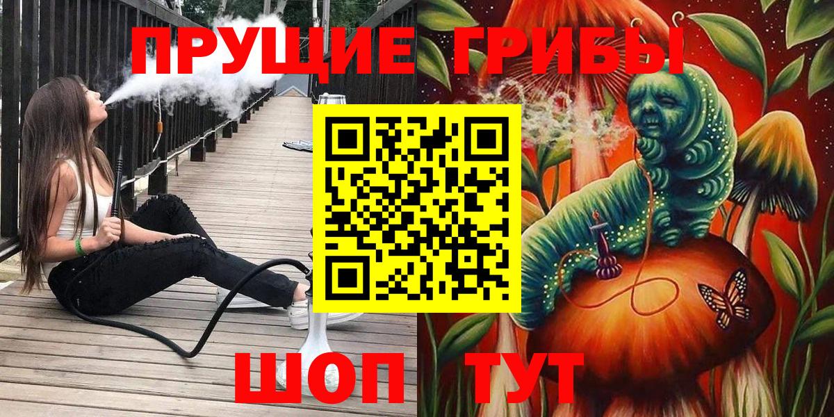 Галлюциногенные грибы Psilocybine cubensis Махачкала