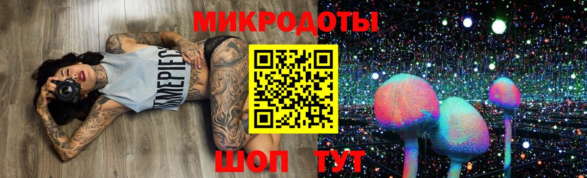 Галлюциногенные грибы Psilocybe  закладка  Махачкала  Галлюциногенные грибы мицелий 